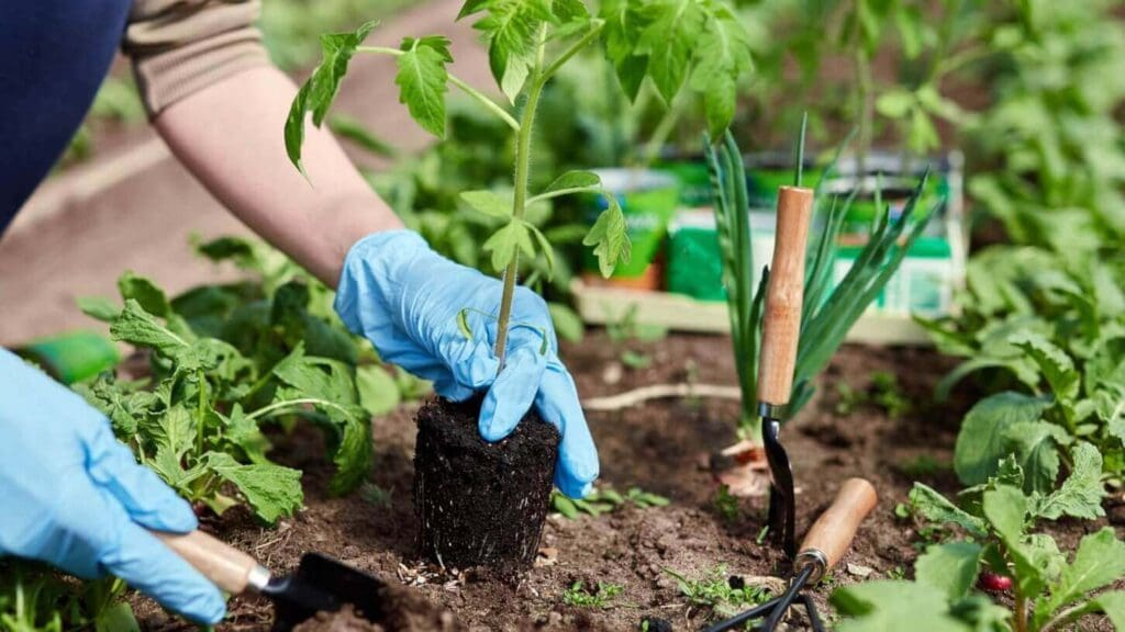 Duurzaam tuinieren zonder chemicaliën